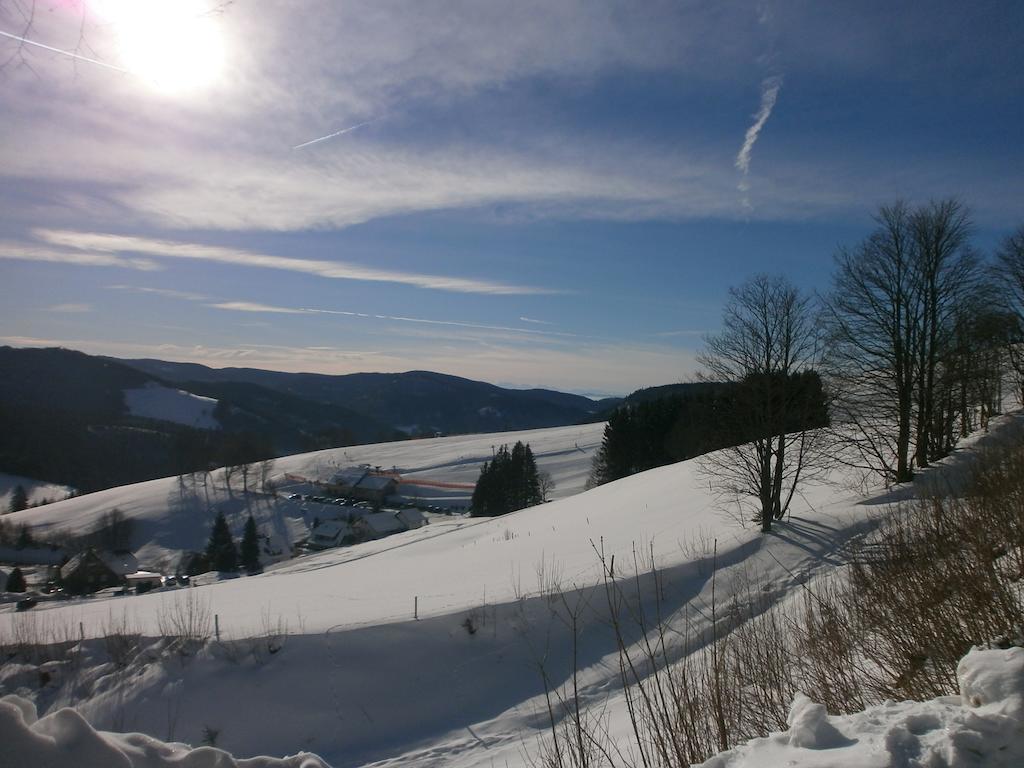 Bergseele Privat- & Retreathotel Schwarzwald Todtnauberg Ngoại thất bức ảnh